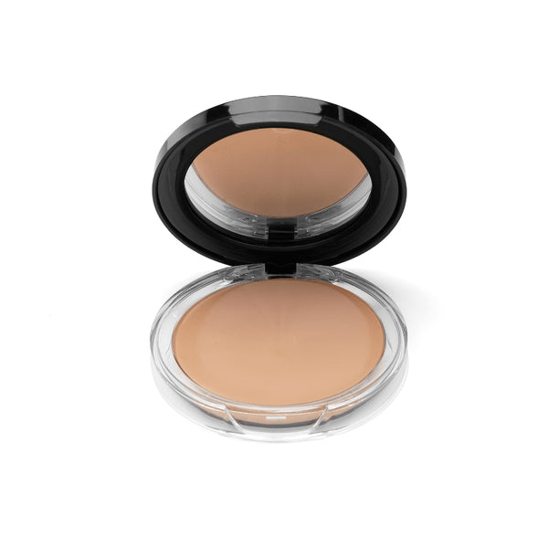 BASE PANSTIK SP PRO*20G #102