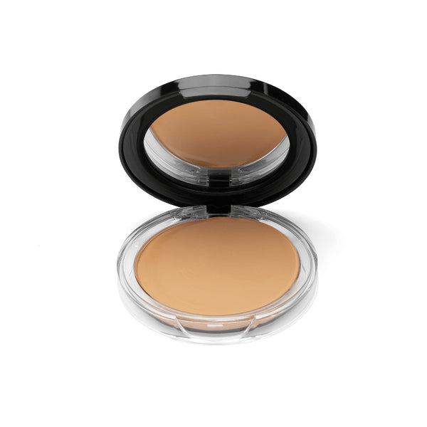 BASE PANSTIK SP PRO*20G #103