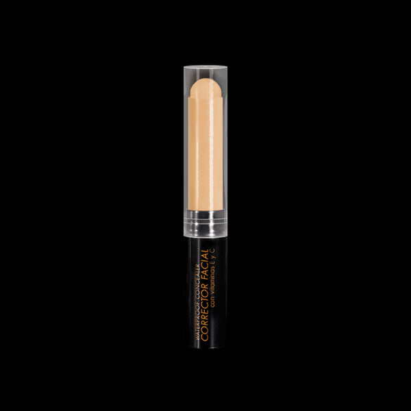 CORRECTOR FACIAL KALOE*2G MEDIO