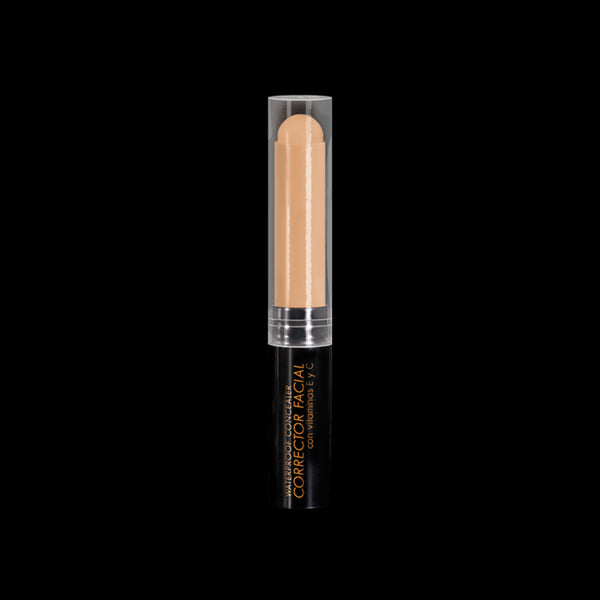 CORRECTOR FACIAL KALOE*2G OSCURO