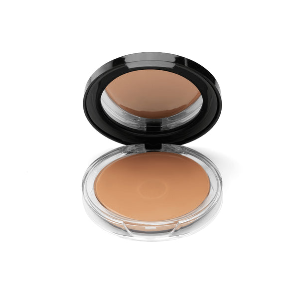 BASE PANSTIK SP PRO*20G #104