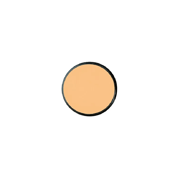 POLVO COMPACTO RAQUEL*20G MINERALS 2 PERFECTA