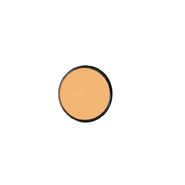 POLVO COMPACTO RAQUEL*20G MINERALS 3 PIEL