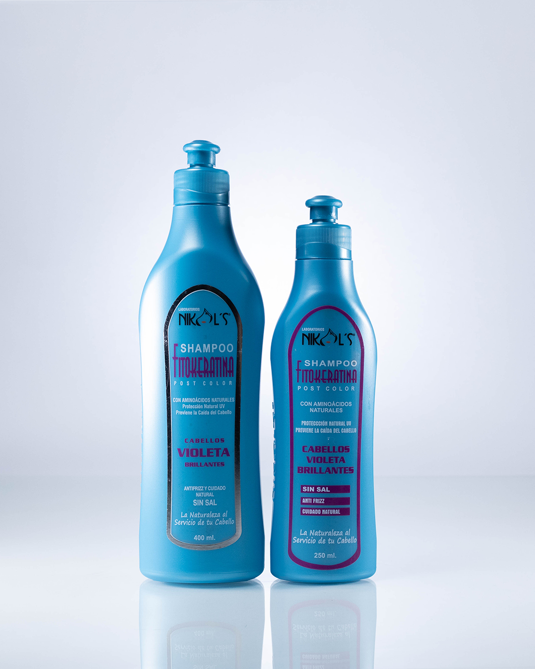 SHAMPOO VIOLETA X 400